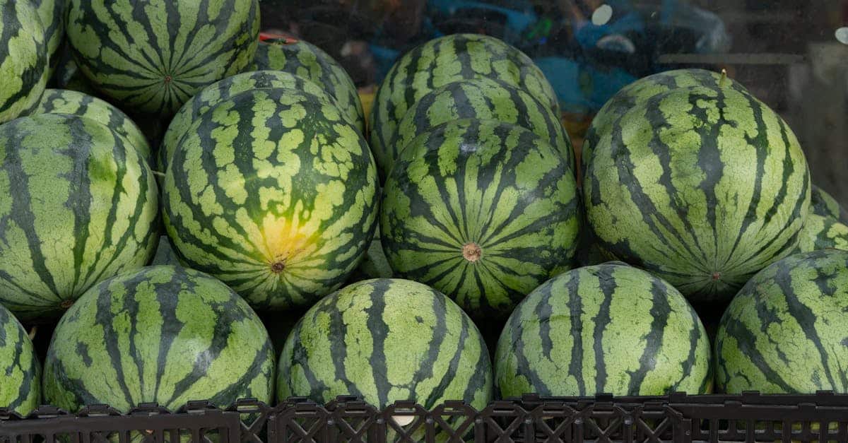 découvrez l'impact du marché sur les tendances économiques actuelles et comment elles influencent les décisions stratégiques des entreprises. analyse approfondie et perspectives d'avenir.