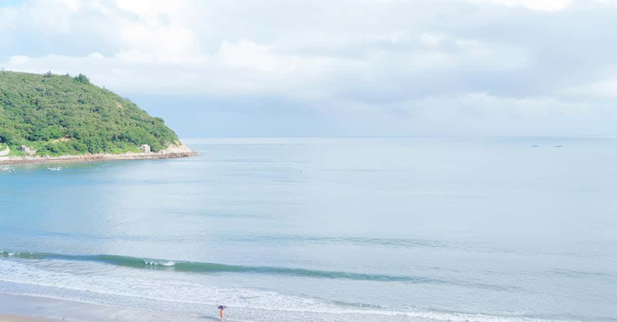 découvrez widow's bay, un lieu enchanteur alliant beauté naturelle et tranquillité. profitez de paysages à couper le souffle, d'activités nautiques passionnantes et d'une atmosphère sereine, idéale pour une escapade inoubliable.